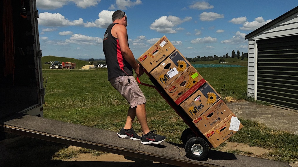 Waikato movers carefully lifting and transporting furniture during a house move
