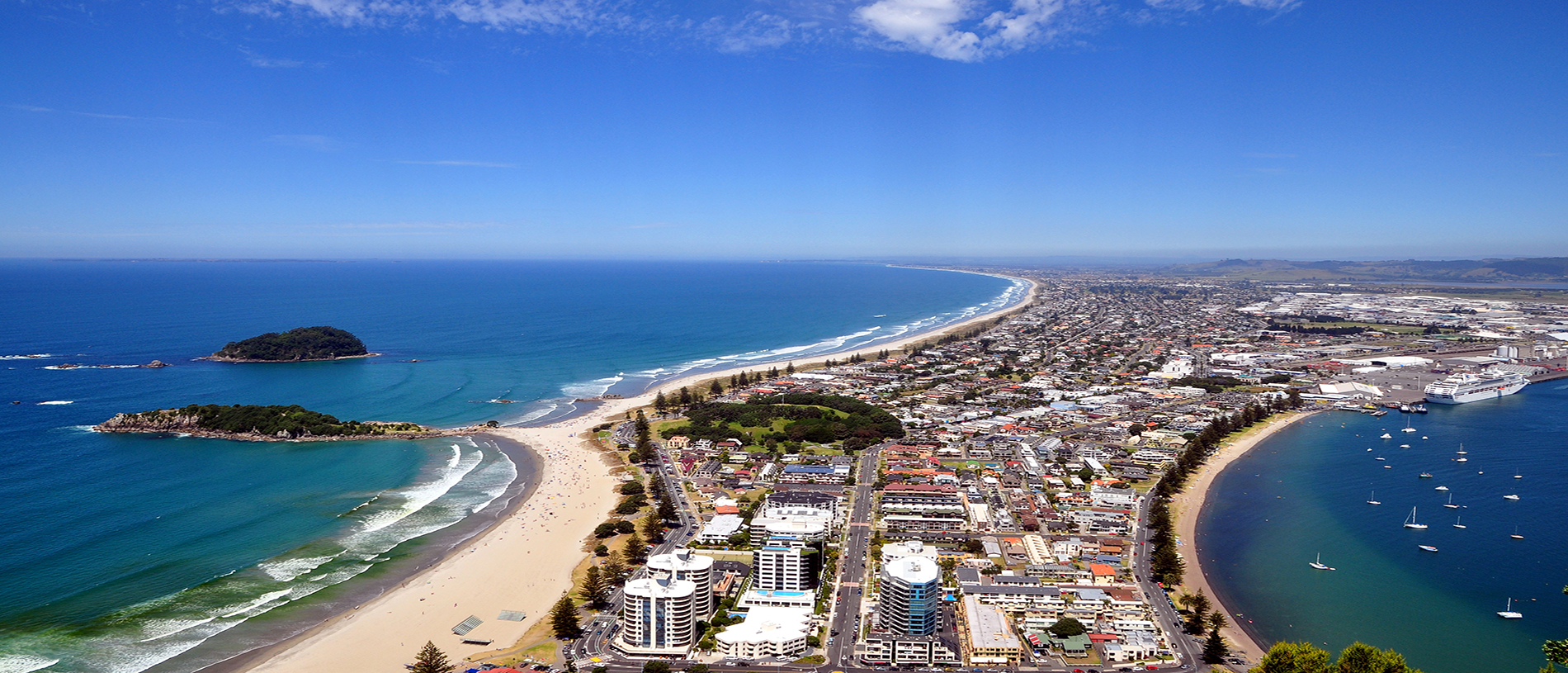Fragile Removals team providing Hamilton to Tauranga moving services